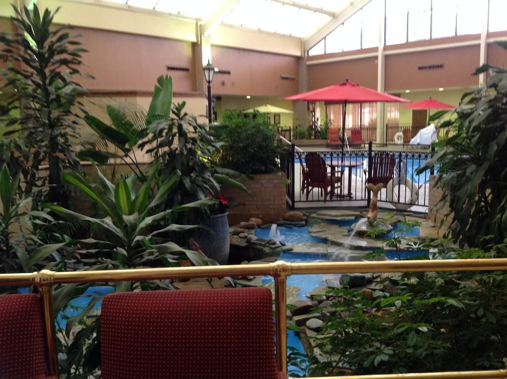 Wyndham Garden Amarillo Hotel Екстериор снимка