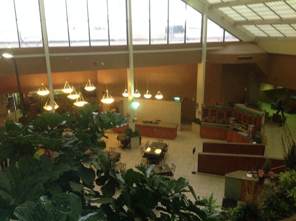Wyndham Garden Amarillo Hotel Екстериор снимка