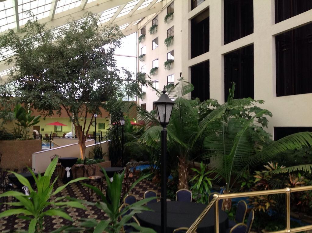 Wyndham Garden Amarillo Hotel Екстериор снимка
